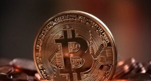 Halving Bitcoin: cos’è, come funziona e perché è importante per il futuro Criptovalute record Bitcoin
